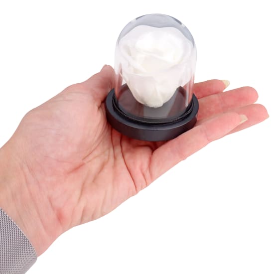 White Rose Dome - Standard