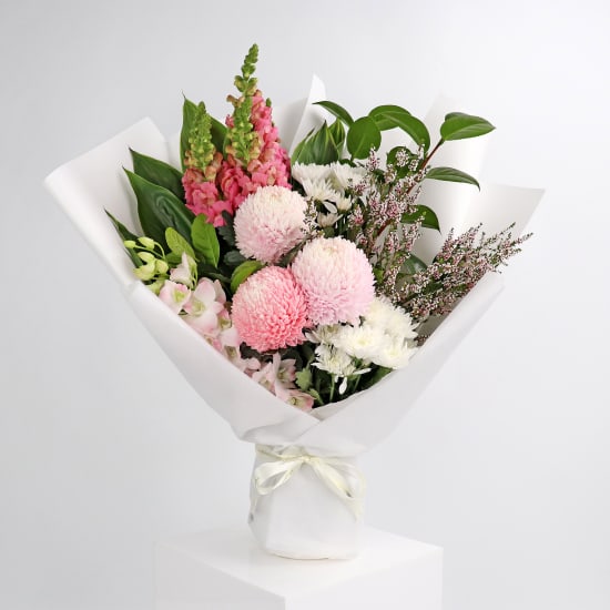 Pink Harmony  - Standard