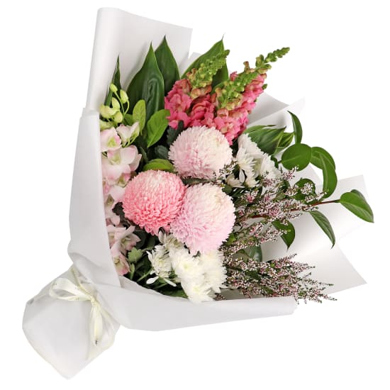 Pink Harmony  - Standard