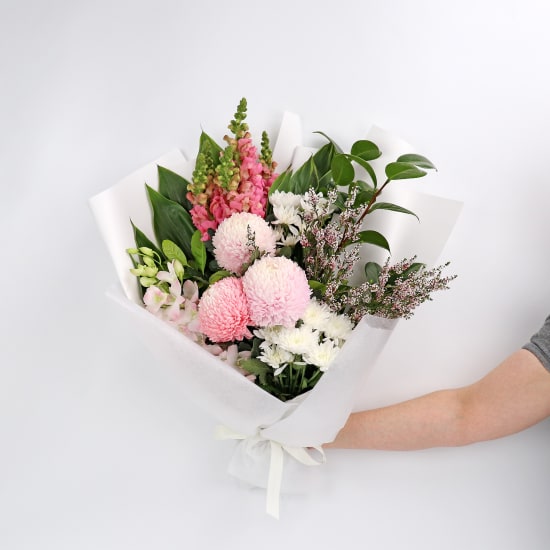 Pink Harmony  - Standard