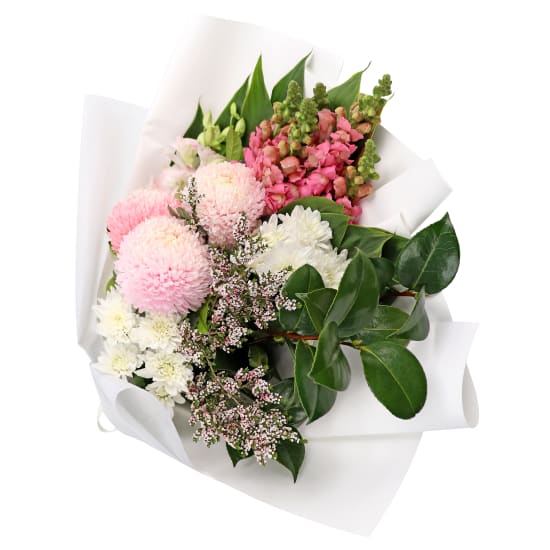 Pink Harmony  - Standard