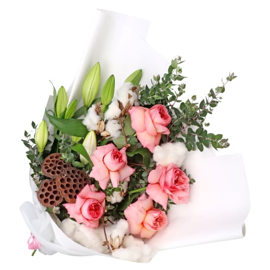 Marshmallow Magic - Standard