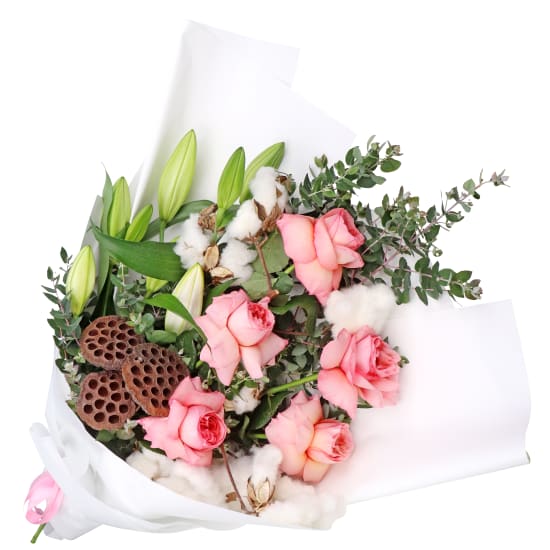 Marshmallow Magic - Standard