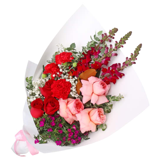 Rosette Dreams  - Standard