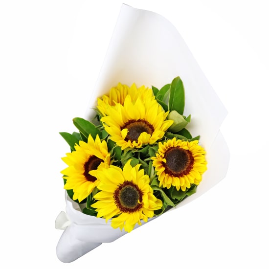 Sunflowers - Standard