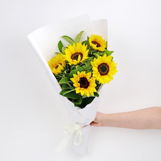 Sunflowers - Standard