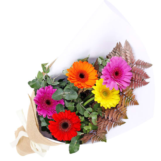 Mini Gerbera Gems Posy  - Deluxe