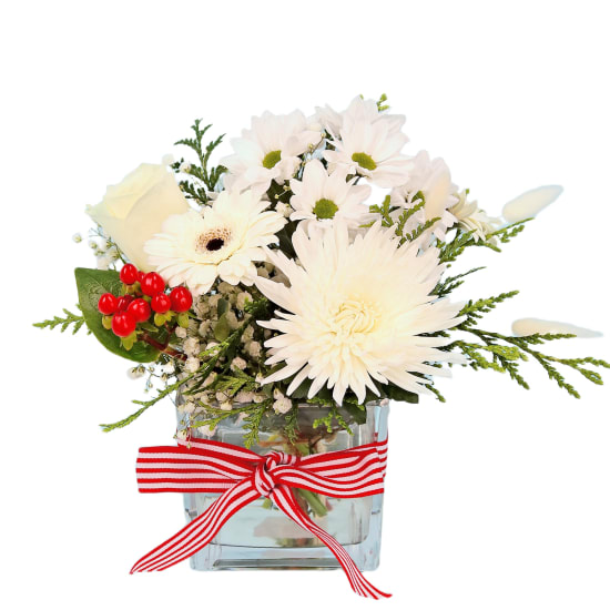 Classic Christmas Vase  - Standard