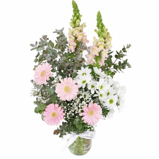Little Garden Mason Jar - Deluxe