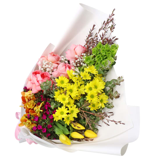 Zest For Life  - Standard