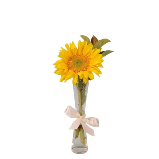 Sunny Skies Bud Vase  - Standard