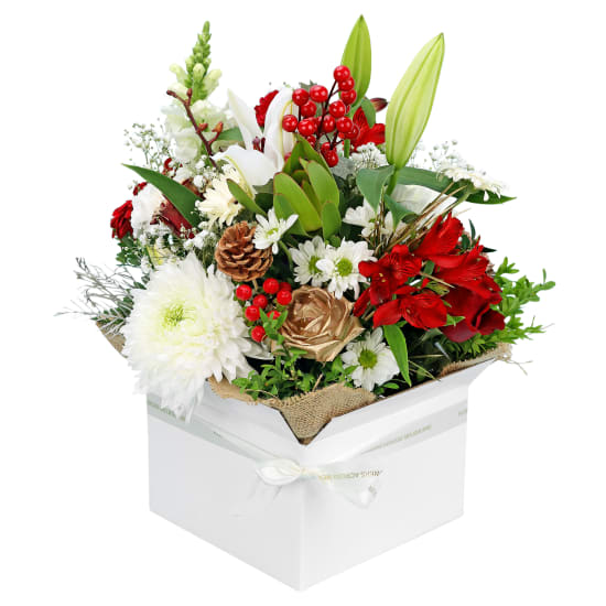 Florist Choice Christmas Box  - Premium