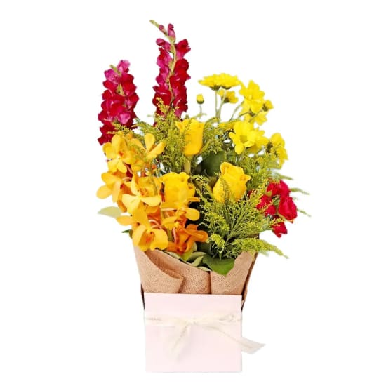 Colourburst Bloombox  - Standard