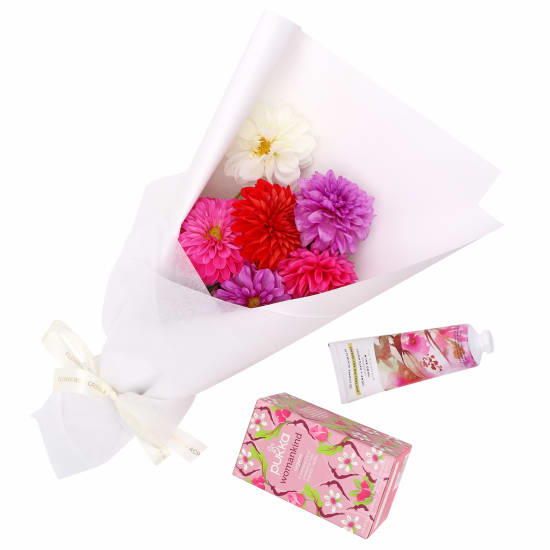 Pampering Dahlia Delight  - Standard