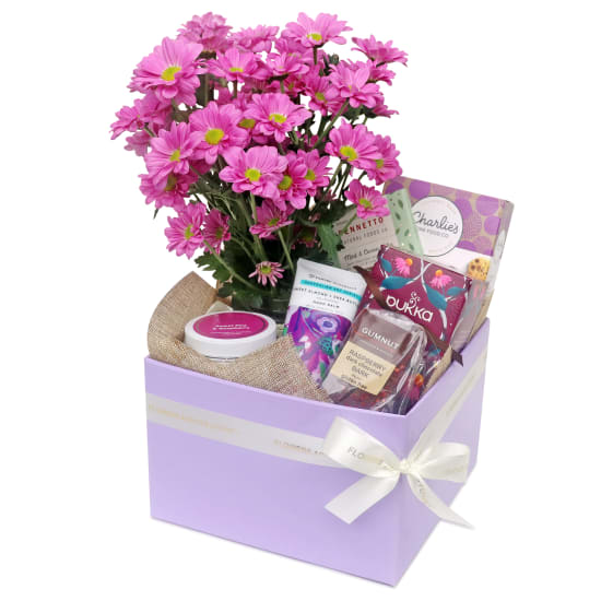 Floral Fête with Treats - Standard