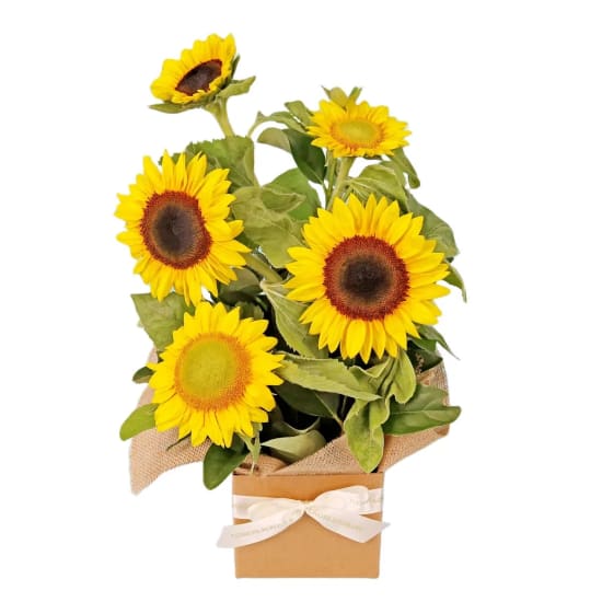 Sunburst Bloom Box  - Standard