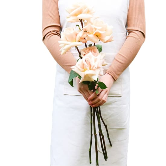 Bridesmaid Reflexed Roses - Standard