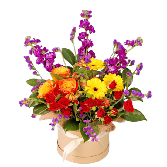 Whisker-Friendly Blooms - Standard