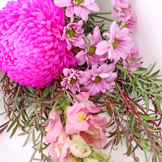 Little Pink Fantasy - Standard