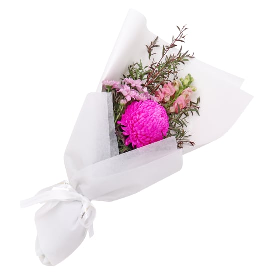 Little Pink Fantasy - Standard