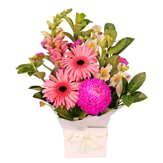 Pinkalicious Bloombox - Standard