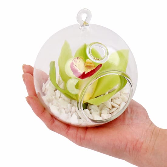 Green Orchid Orb  - Standard