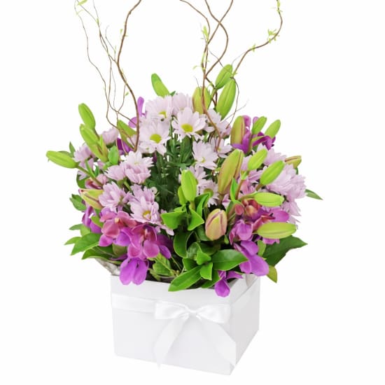 Botanique Pink Flower Box - Standard