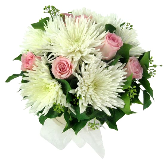 Isn't She Lovely - Standard