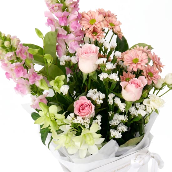 Colourburst Bloom Box - Standard