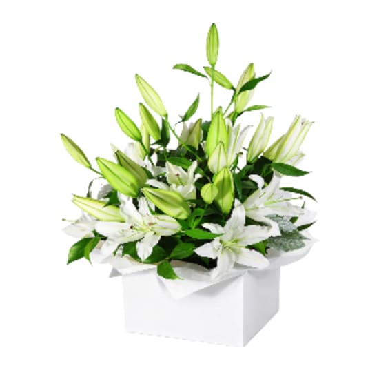 Pure Elegance White Lily Flower Box - Deluxe