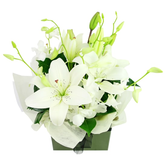 Making Magic Posy Box - Deluxe
