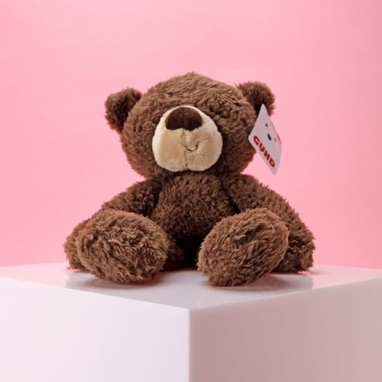 Fuzzy Chocolate Bear - Standard