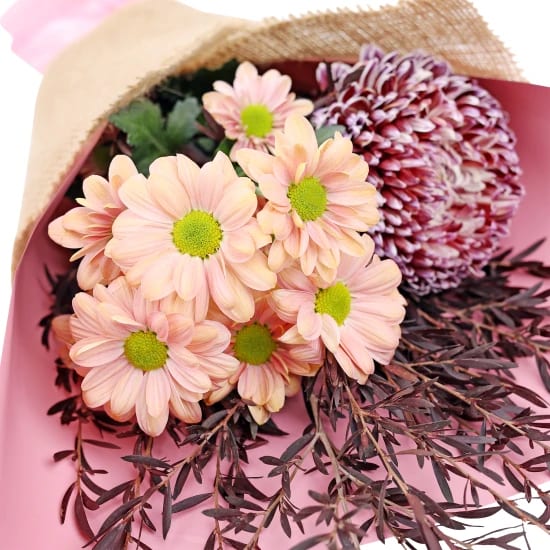 Little Peachy Fantasy - Standard