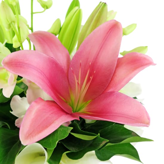 Making Magic Posy Box  - Standard