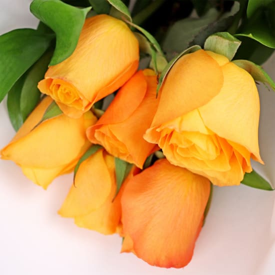 Orange Rose Bouquet - 6 Roses (Half Dozen)