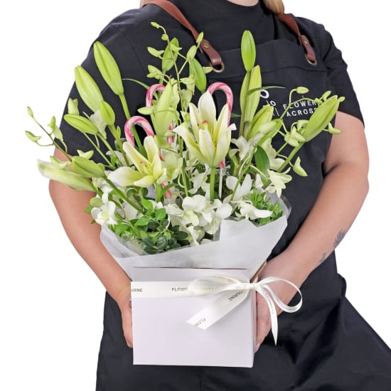 Making White Christmas Magic - Deluxe