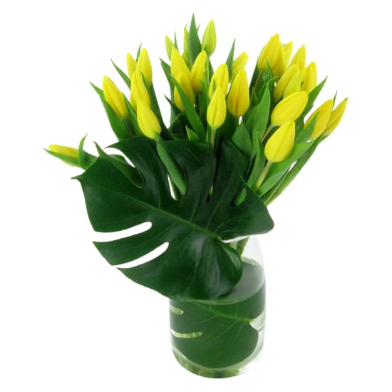 Sweet Simplicity - Deluxe