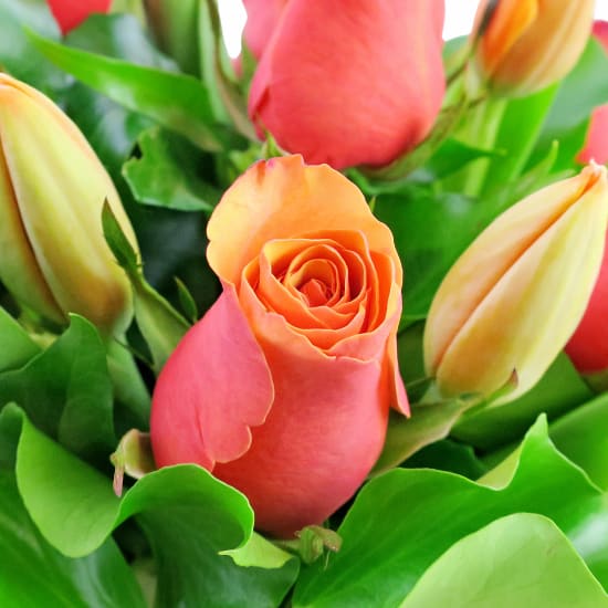 Roses And Tulips - Deluxe (view 3 of 3)