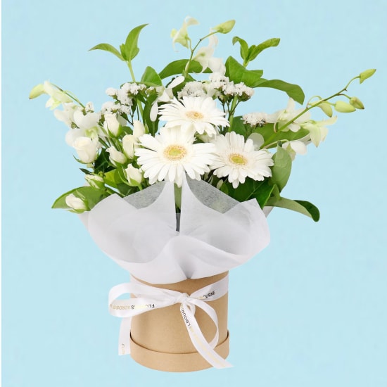 Paw Friendly Blossom Box - Standard