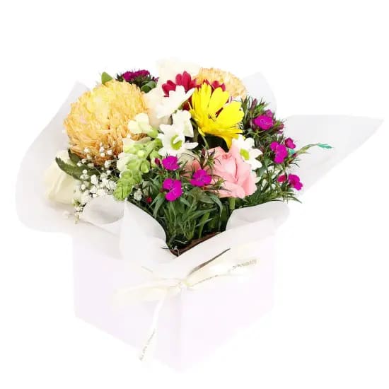 Florist Choice Mini Box - Deluxe