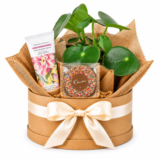 🌿💕 Little Moments Of Joy Plant Hamper 💕🌿 - Standard