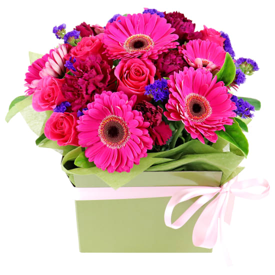 Painted Lady Pink Flower Box  - Premium