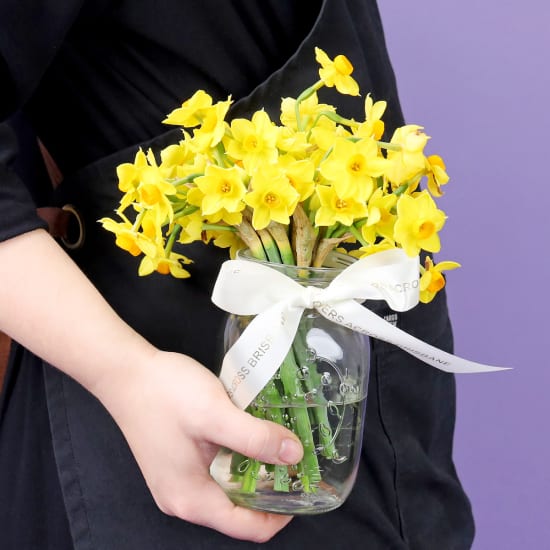 Jumping Jonquils - Standard