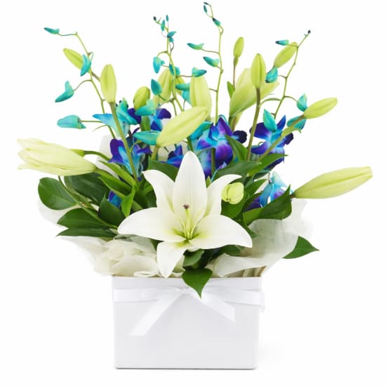 Blue Making Magic Posy Box - Deluxe