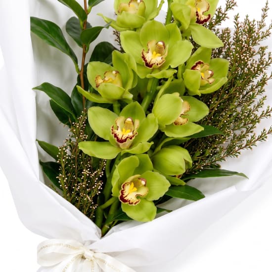 Cymbidium Paradise Bouquet - Standard (view 5 of 5)