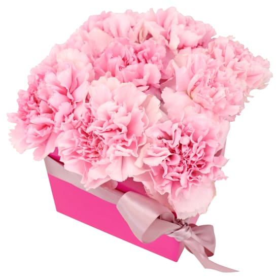 Little Carnation Flower Box   Pink - Standard