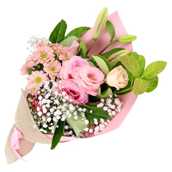 Harmony In Bloom - Standard