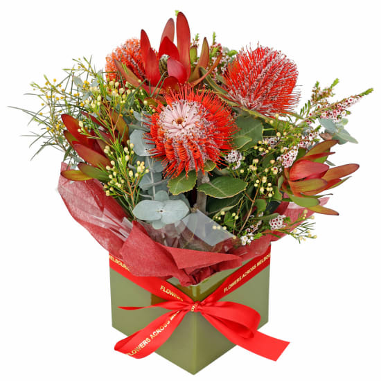 Brilliantly Natives Box - Standard