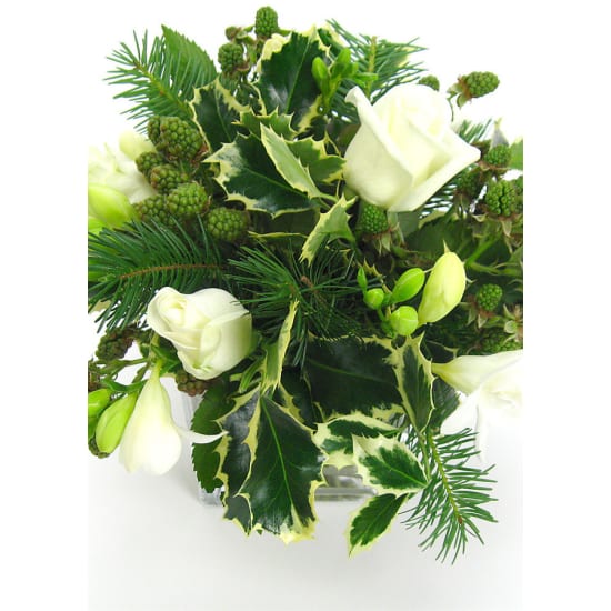 White Xmas - Standard