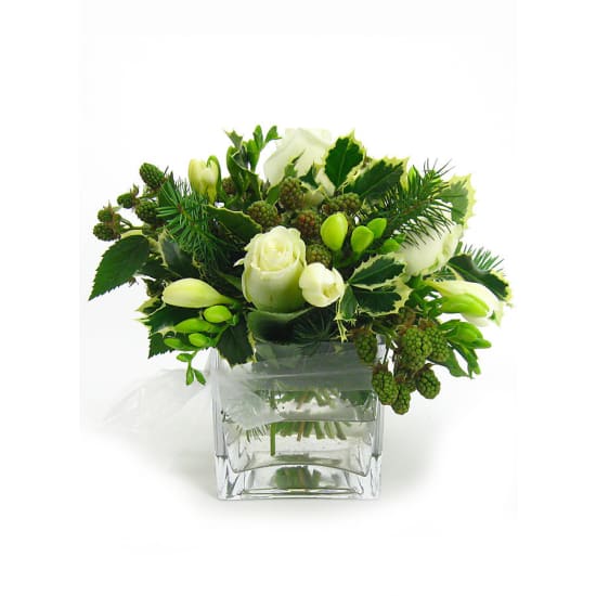 White Xmas - Standard